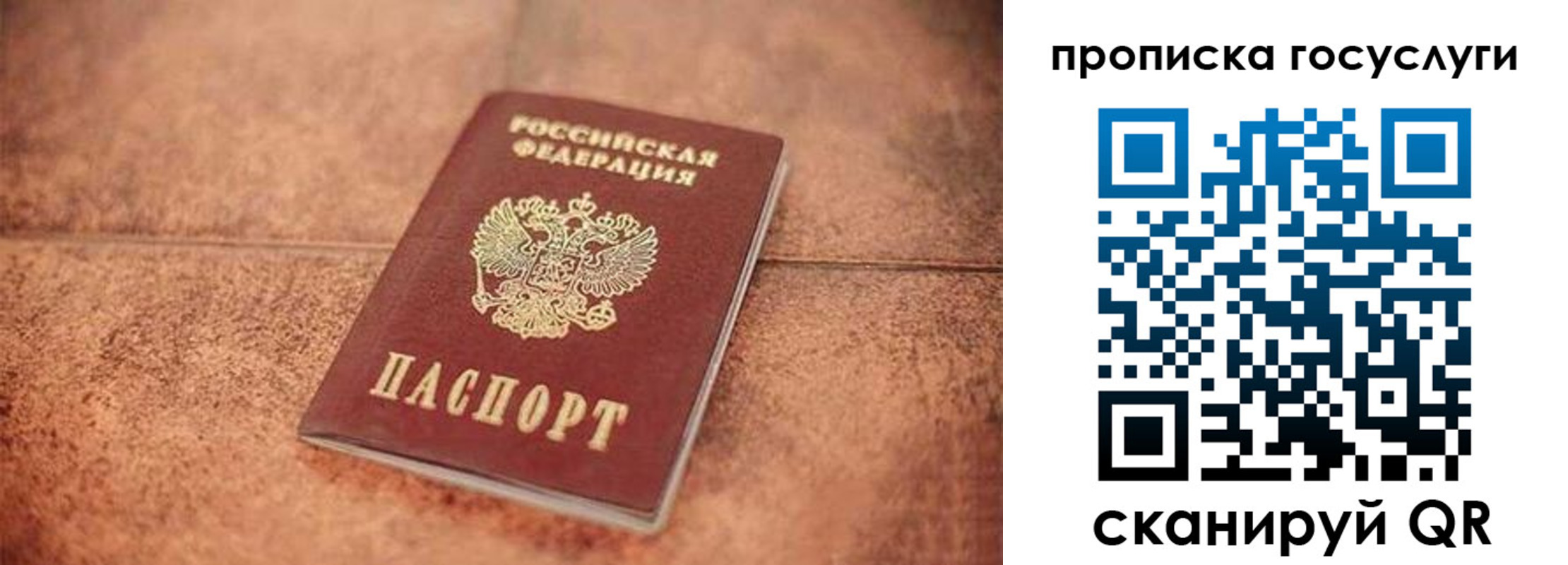прописка законно в Суворове